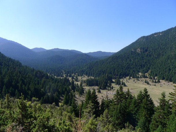 Απαγόρευση κυκλοφορίας στα δασικά συμπλέγματα της Αρκαδίας