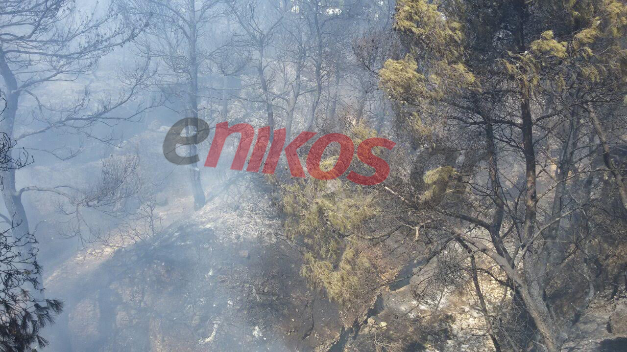 Νέες ΦΩΤΟ από τη φωτιά στην Πάρνηθα
