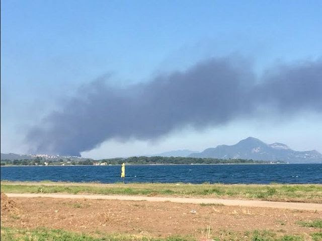 Μεγάλη πυρκαγιά σε εργοστάσιο στη Φθιώτιδα – ΦΩΤΟ
