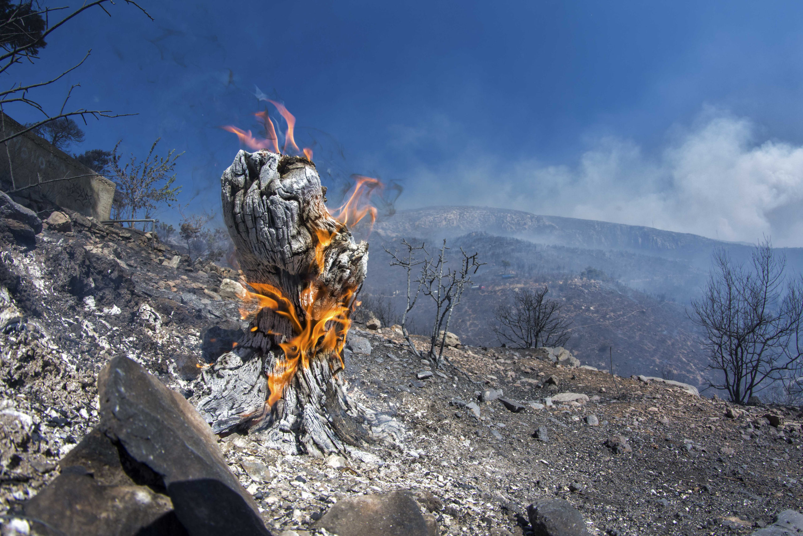 Συνεχίζεται η μάχη με τις φλόγες – Ποια μέτωπα είναι σε εξέλιξη – ΒΙΝΤΕΟ