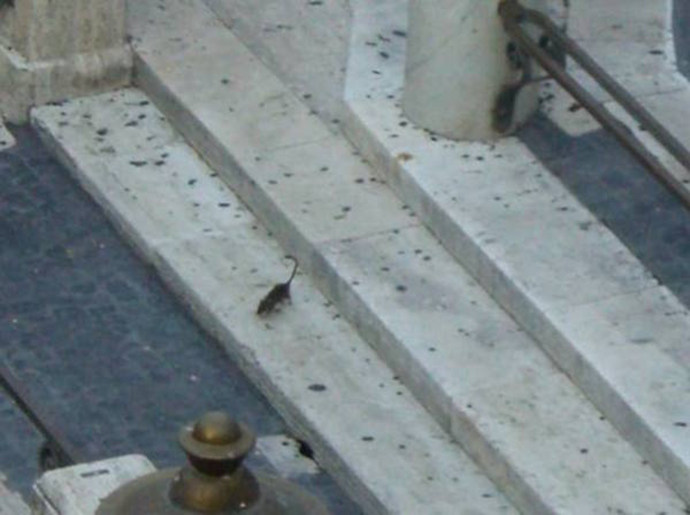 Γέμισε αρουραίους η Φοντάνα ντι Τρέβι – ΦΩΤΟ