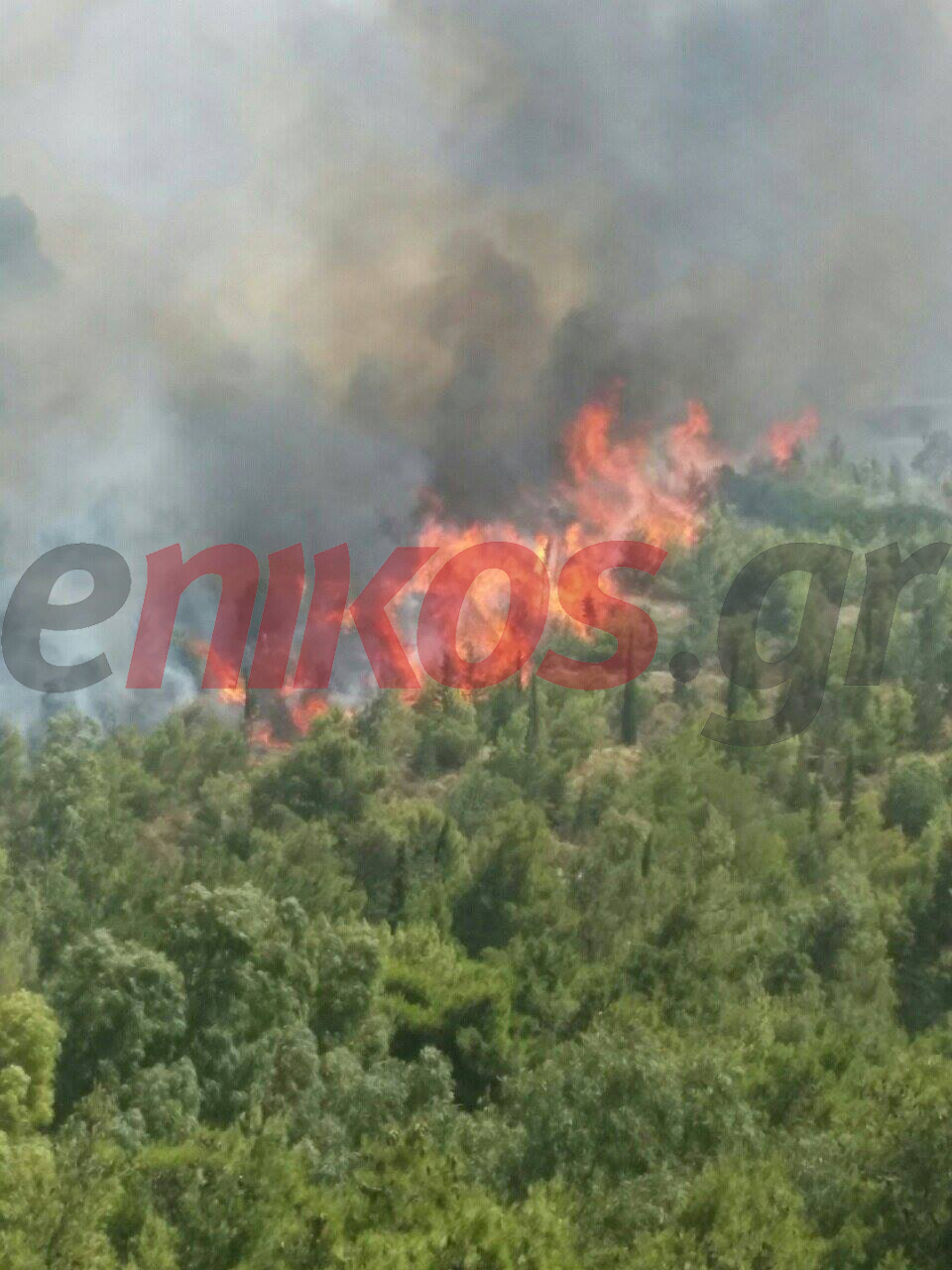 Η φωτιά στην περιοχή Αστυνομικά στην Ηλιούπολη – ΦΩΤΟ