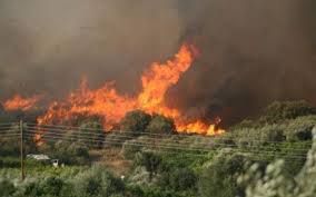 Φωτιά στην Κυνουρία – ΤΩΡΑ