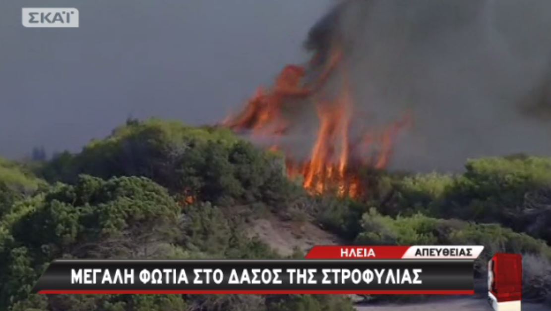 Καίγεται το δάσος της Στροφυλιάς – ΤΩΡΑ