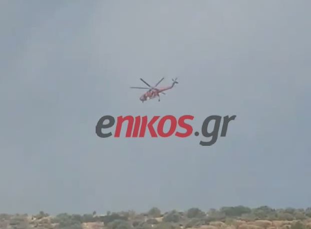 ΒΙΝΤΕΟ από τη φωτιά στην Αργυρούπολη – ΤΩΡΑ