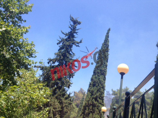 Φωτογραφίες από την πυρκαγιά στον Καρέα – ΦΩΤΟ