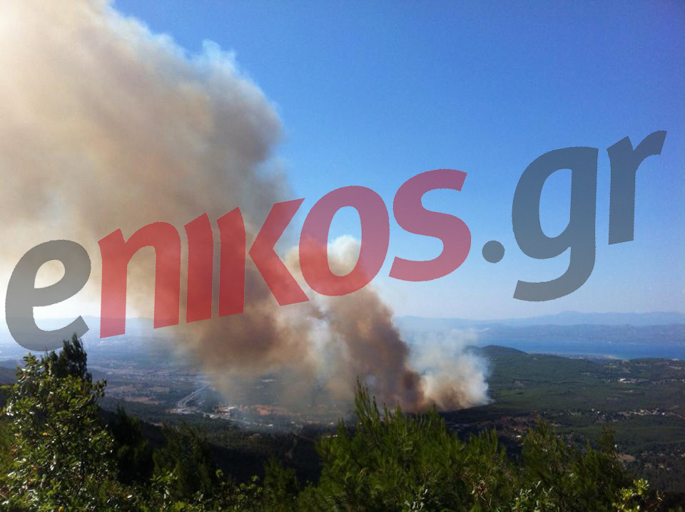 Έτοιμη η Λευκωσία να παράσχει βοήθεια για τις φωτιές