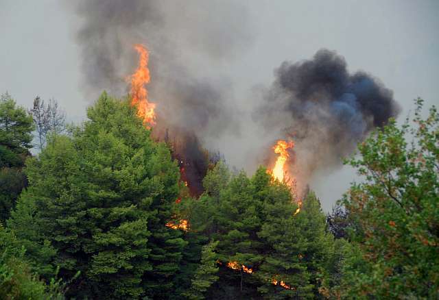 Μεγάλη πυρκαγιά στη Νεάπολη Λακωνίας – Απειλούνται σπίτια – ΒΙΝΤΕΟ