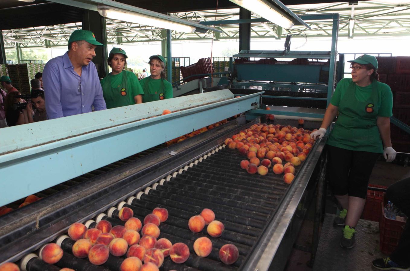 Ο Σταύρος Θεοδωράκης έγινε… αγρότης – ΦΩΤΟ