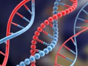 Η επιτυχία στις εξετάσεις είναι θέμα γονιδίων