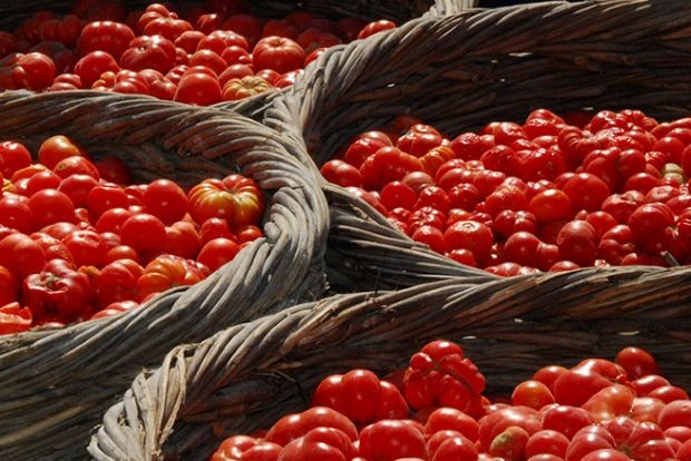 Ελληνικά τρόφιμα «θησαυροί» με ευεργετικές ιδιότητες