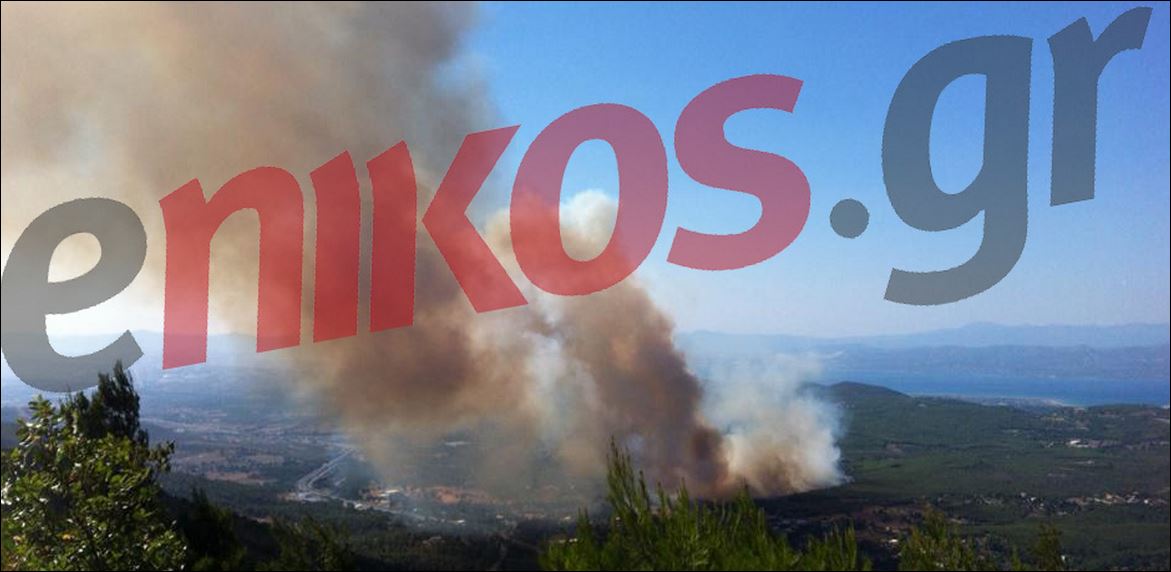 ΦΩΤΟ από τη φωτιά στη Μαλακάσα – ΤΩΡΑ