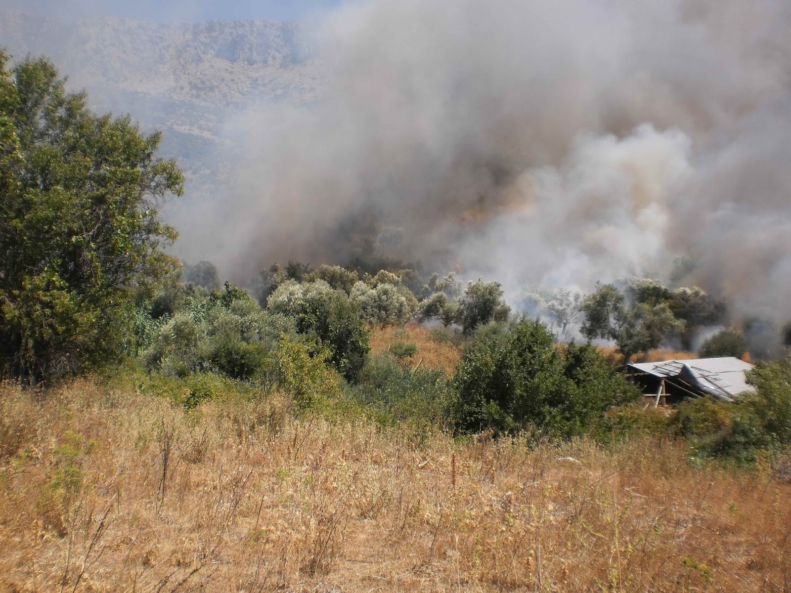 Φωτιά στην Πάλαιρο Αιτωλοακαρνανίας – ΤΩΡΑ