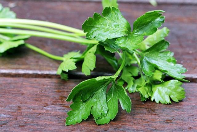 Το ελληνικό βότανο κατά του καρκίνου