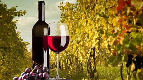 Σταφύλια και κόκκινο κρασί για φυσικό αδυνάτισμα