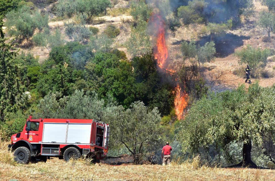 Σε ύφεση η φωτιά στην Αργολίδα