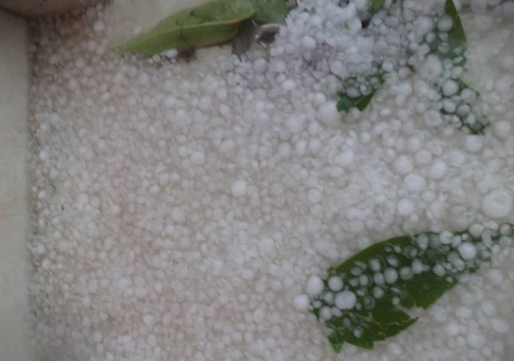 Χαλάζι μέσα στον Αύγουστο στην Κόνιτσα – ΒΙΝΤΕΟ