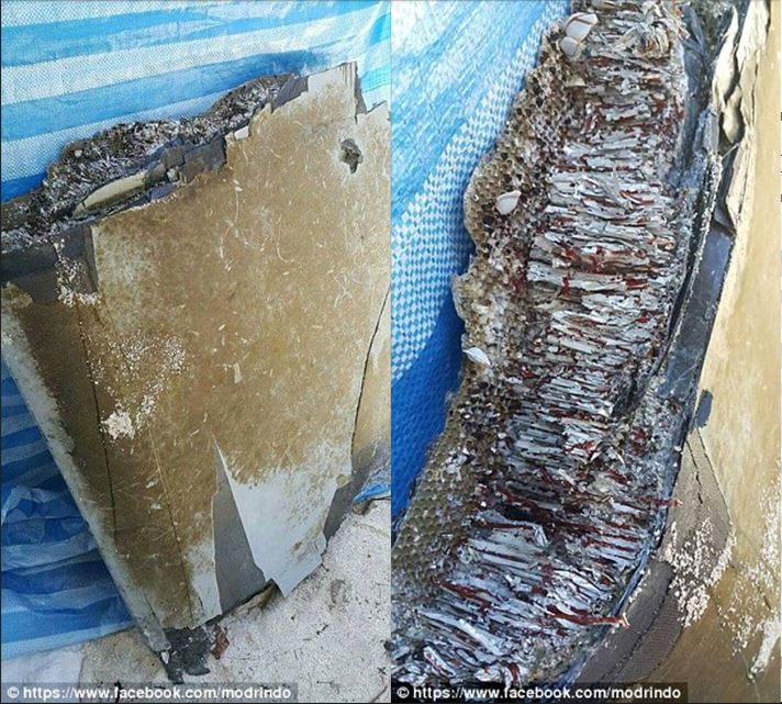 Ομάδα εμπειρογνωμόνων στις Μαλδίβες για το εξαφανισμένο Boeing