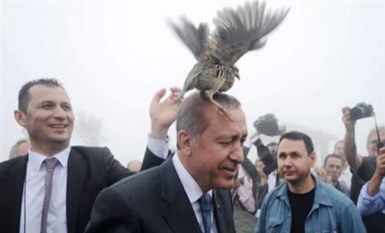 Ιπτάμενη “επίθεση” στον Ερντογάν – BINTEO