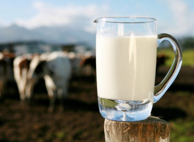 Αρνητική η Κομισιόν σε επαναφορά της ποσόστωσης στο γάλα