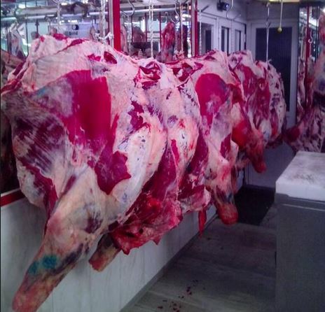 Η βιομηχανία κρέατος απειλεί τη βιοποικιλότητα