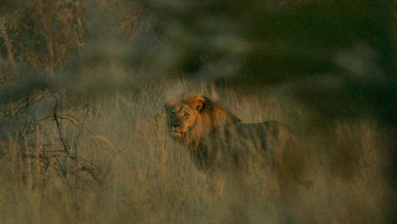 Η απόδειξη ότι ο αδερφός του Σεσίλ είναι ζωντανός – ΦΩΤΟ