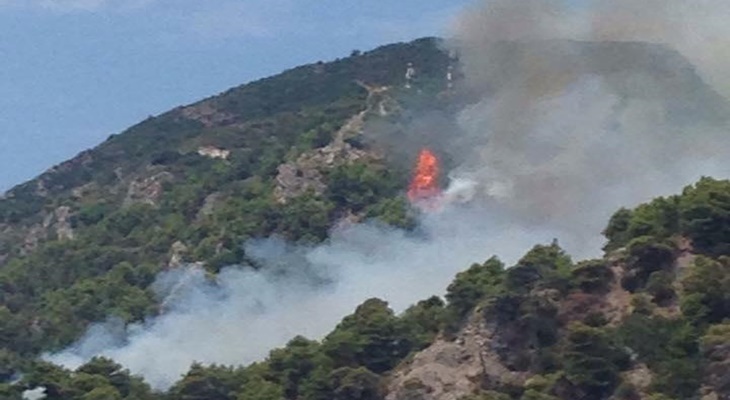 Μαίνεται η φωτιά στην Κέρκυρα – Κάηκαν αυτοκίνητα – Συγκλονιστικές ΦΩΤΟ