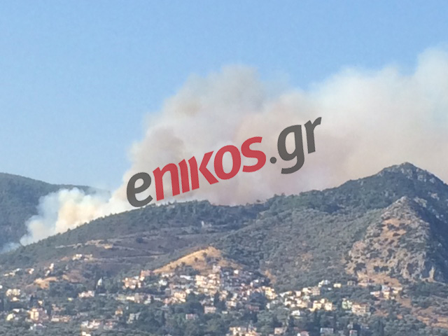 Νέες φωτογραφίες από τη φωτιά στη Μυτιλήνη – ΦΩΤΟ