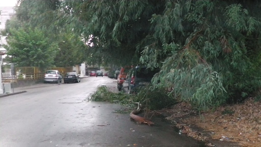 Ξεριζώθηκαν δέντρα από την κακοκαιρία στο Αγρίνιο – ΦΩΤΟ – ΒΙΝΤΕΟ