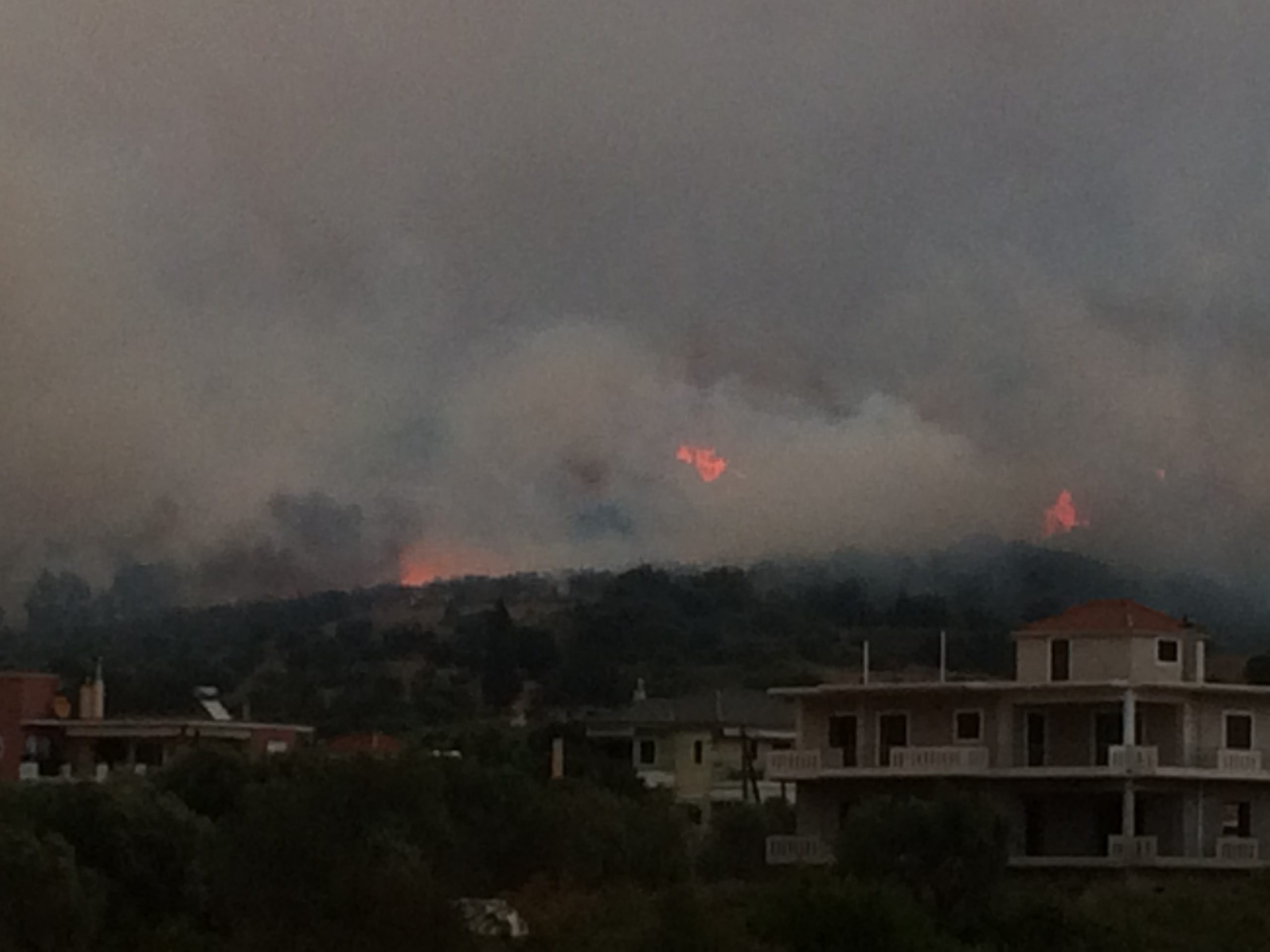 Πύρινο μέτωπο 5 χιλιομέτρων στην Πάλαιρο Αιτωλοακαρνανίας – ΦΩΤΟ