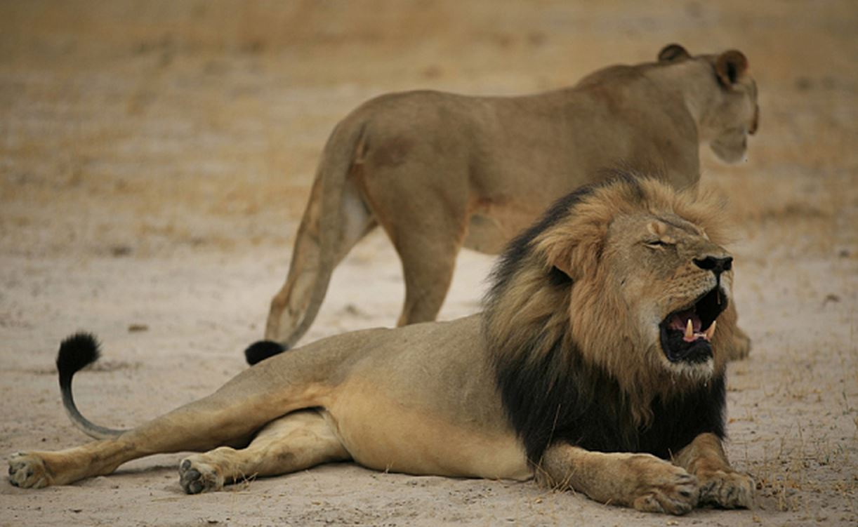 Σκότωσαν και τον αδερφό του Σεσίλ;