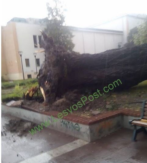 Προβλήματα προκάλεσε ξαφνικό μπουρίνι στην Μυτιλήνη – ΒΙΝΤΕΟ