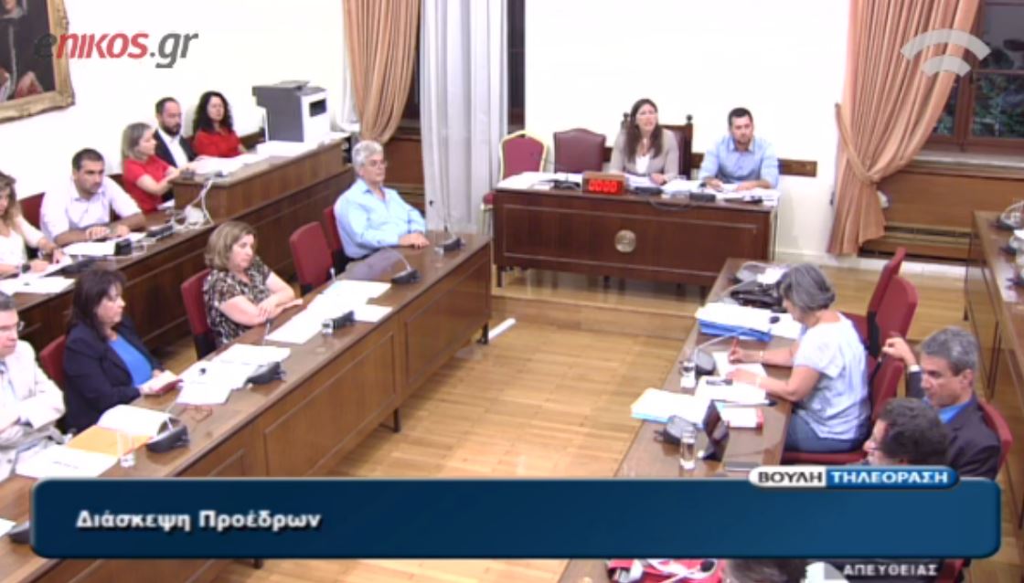 Λυκούδης σε Κωνσταντοπούλου: Λέτε συνεχώς ψέματα – ΒΙΝΤΕΟ