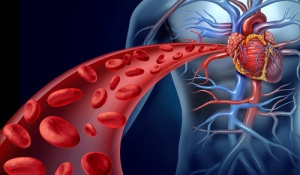 Κακή κυκλοφορία αίματος – Ποια είναι τα συμπτώματα;