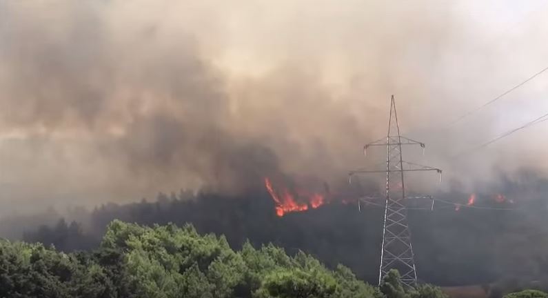 ΒΙΝΤΕΟ από τη φωτιά στη Ρόδο