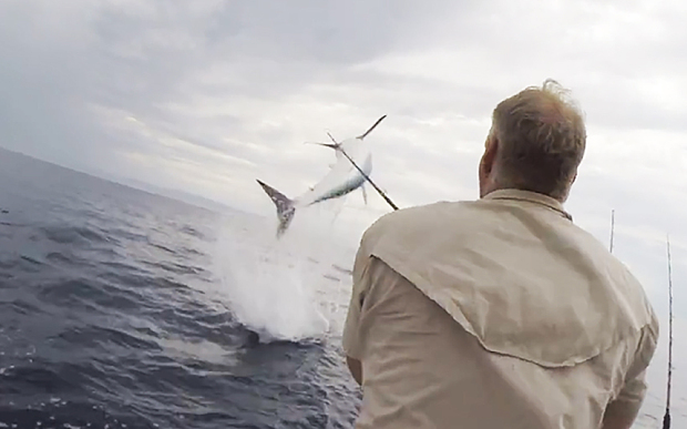 Καρχαρίας πηδά έξω από το νερό μπροστά στα τρομαγμένα μάτια ενός ψαρά – ΒΙΝΤΕΟ
