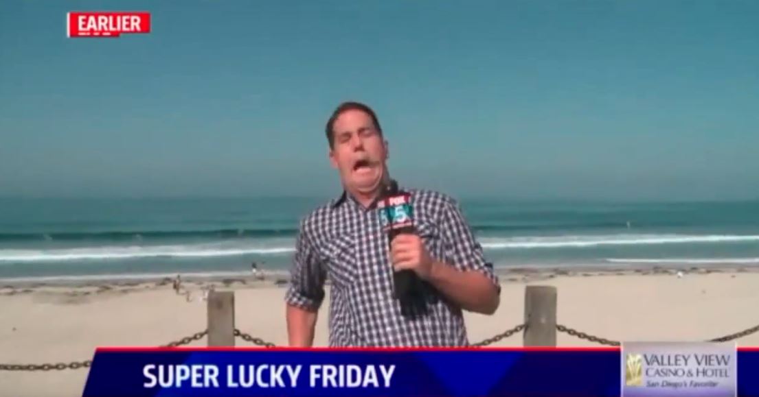 Έντρομος ο μετεωρολόγος από το… έντομο – ΒΙΝΤΕΟ