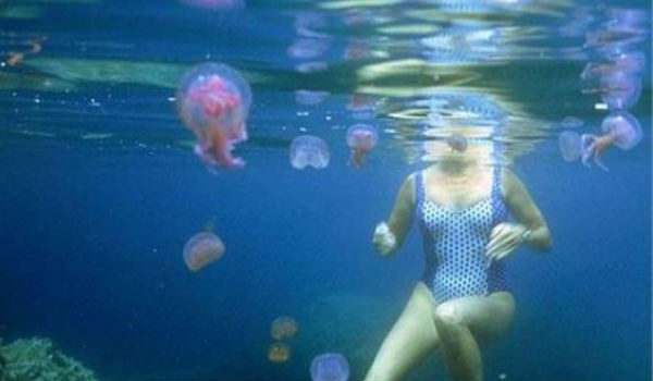 Τι πρέπει να κάνετε αν σας τσιμπήσει τσούχτρα