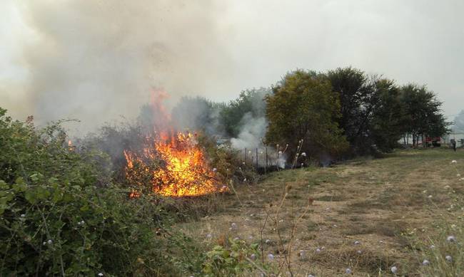 Υπό έλεγχο η φωτιά στους πρόποδες της Πάρνηθας