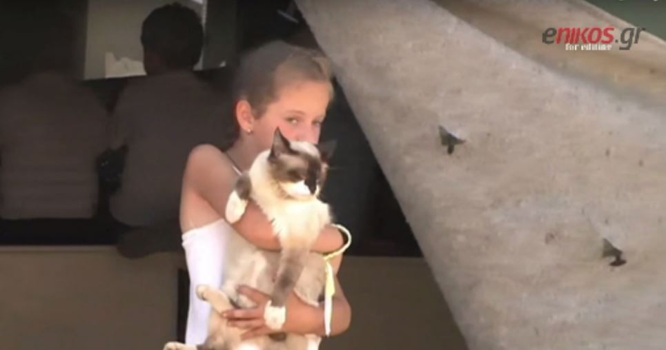 Οι πρόσφυγες ταξιδεύουν αγκαλιά με τα κατοικίδια τους – ΒΙΝΤΕΟ