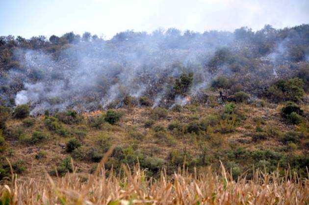 Σε ύφεση η φωτιά στο Ελληνικό Γορτυνίας