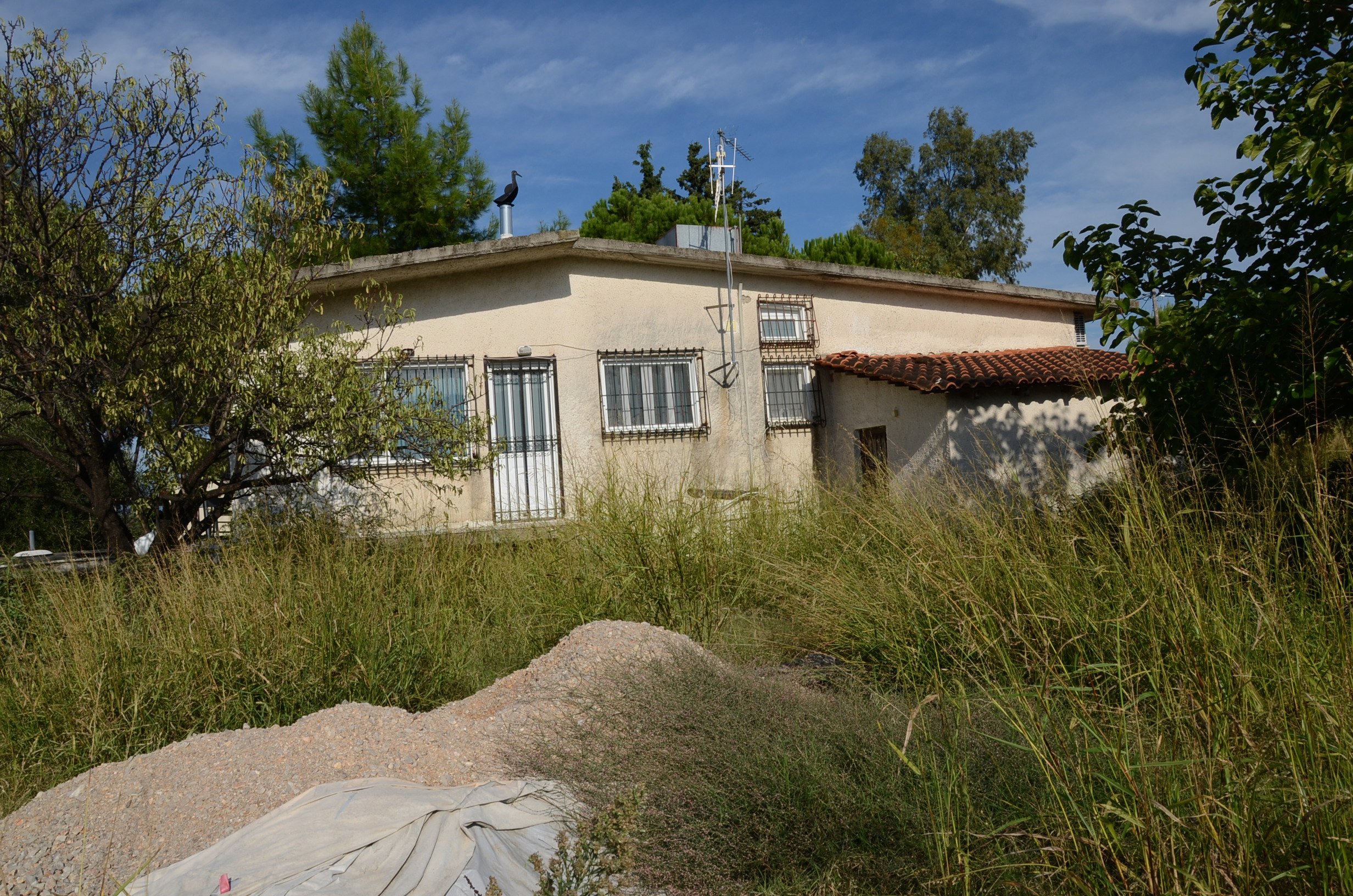 Τα ευρήματα της Αντιτρομοκρατικής σε Βόλο και Αθήνα – ΦΩΤΟ