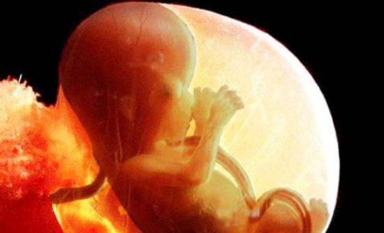 Το έμβρυο ξεχωρίζει χαρές και λύπες της εγκύου