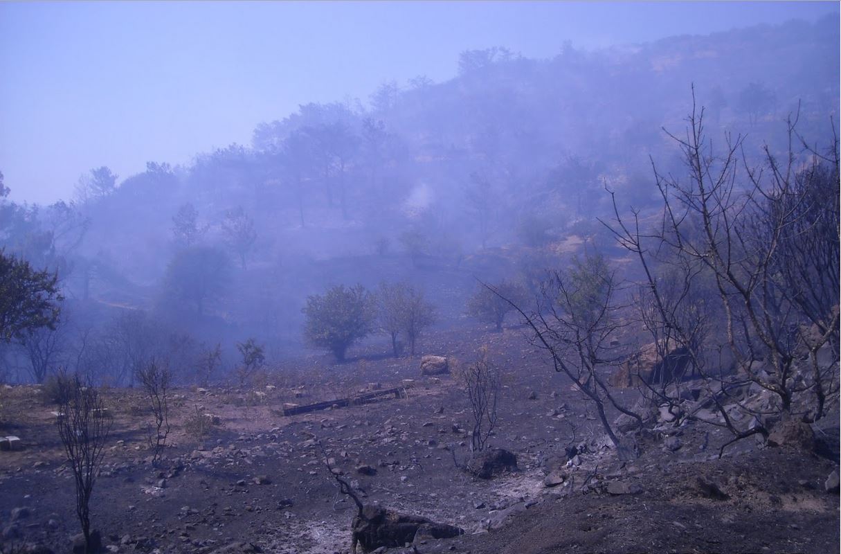 Υπό πλήρη έλεγχο η φωτιά στη Μυτιλήνη