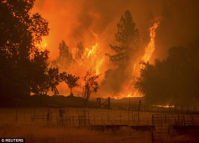 Πυρκαγιά στην οροσειρά της Σιέρρα Νεβάδα καταστρέφει σπίτια – ΒΙΝΤΕΟ- ΦΩΤΟ