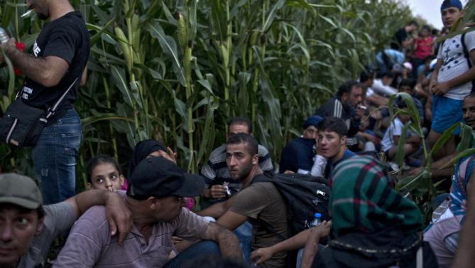 Μετανάστες “παραβίασαν” κορδέλες της αστυνομίας στα σύνορα Σερβίας-Ουγγαρίας