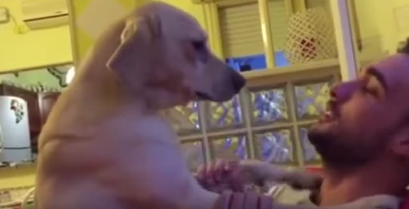 Ο μετανιωμένος σκύλος… που σπαράζει το διαδίκτυο- ΒΙΝΤΕΟ