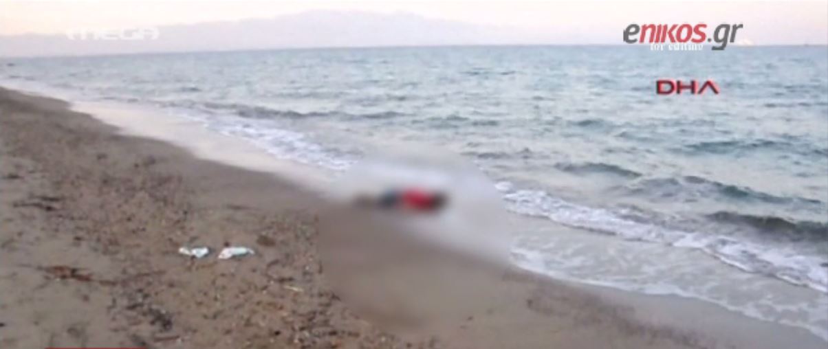 Εικόνες σοκ στα τουρκικά παράλια – ΒΙΝΤΕΟ