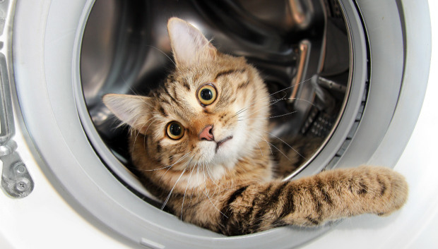8 πράγματα που δεν φαντάζεστε ότι πλένονται στο πλυντήριο ρούχων