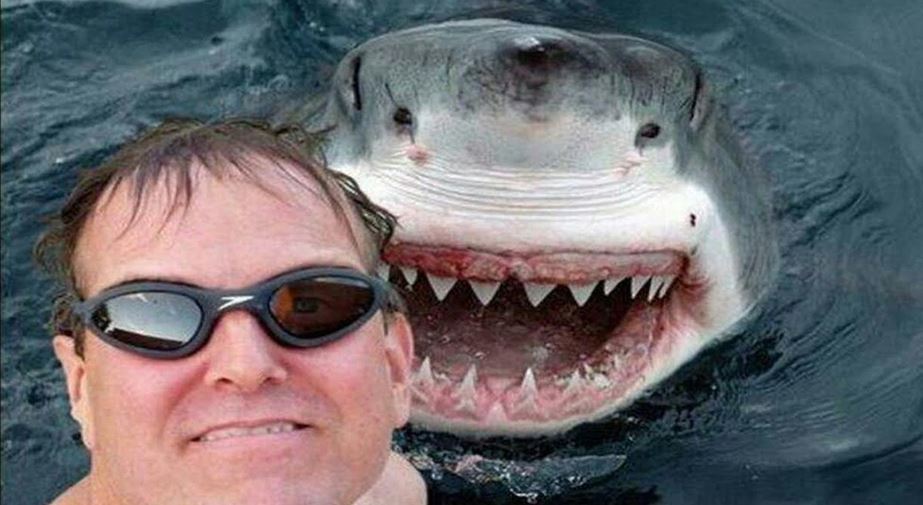 Οι selfies πιο θανατηφόρες από τους…καρχαρίες